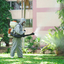 Common Pest Problems in Lan... - Picture Box