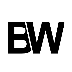 logo BridgeWeb - Website Design & Development
