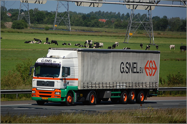 DSC 2303-border Snelweg