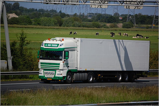 DSC 2314-border Snelweg