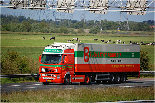 DSC 2392-border Snelweg