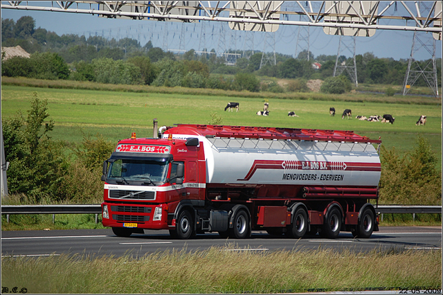 DSC 2413-border Snelweg