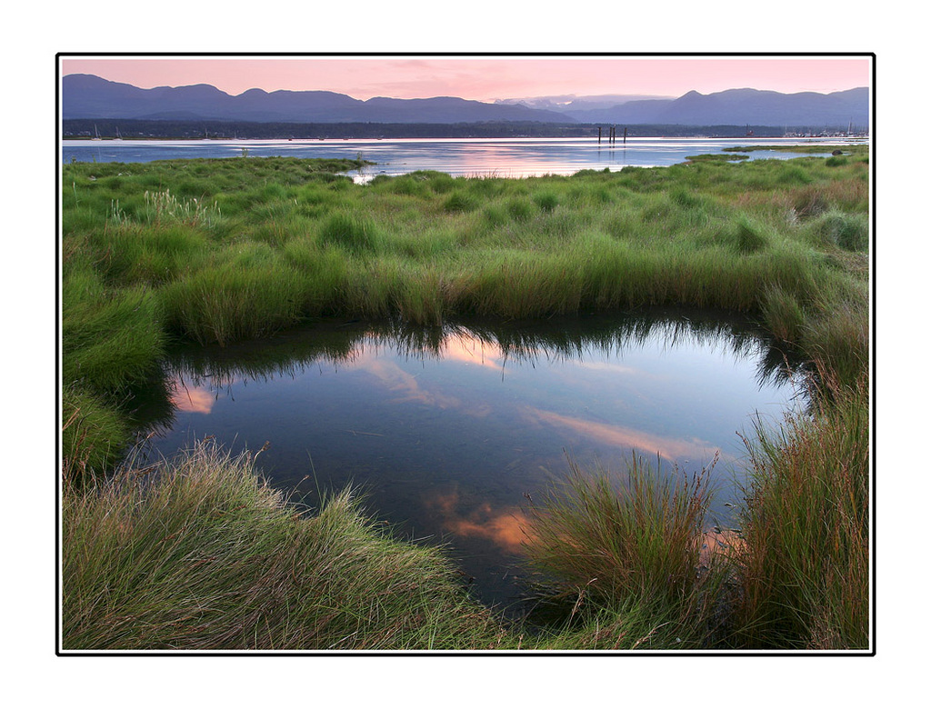 comox Landscapes