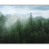 misty tsable - Landscapes