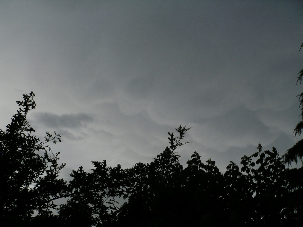 mammatus 001 - 