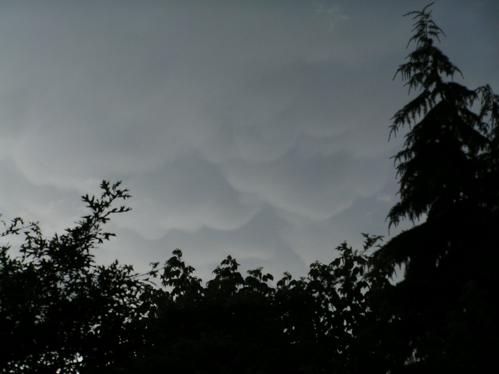 mammatus 002 - 