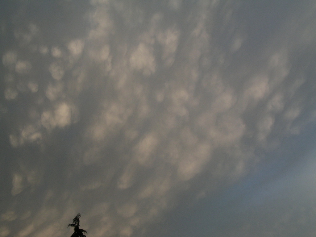 mammatus 010 - 