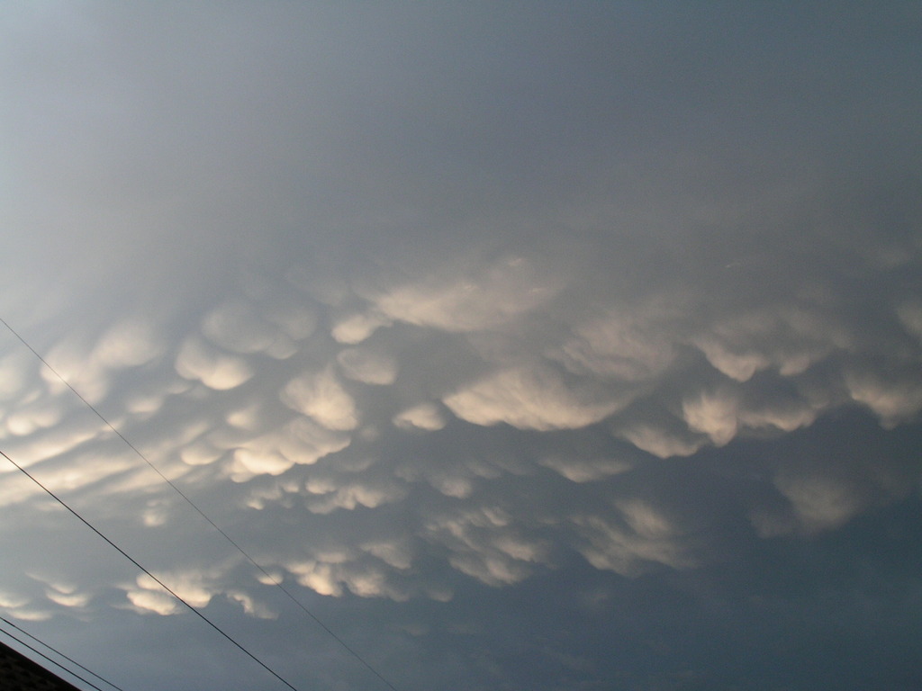 mammatus 011 - 