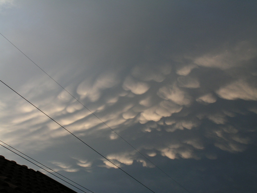 mammatus 014 - 