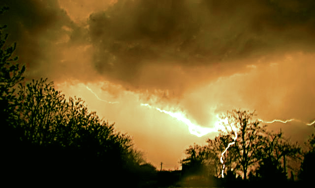 1605619 modificato-1 - 