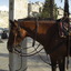 CIMG5033 - JERUSALEM 2009