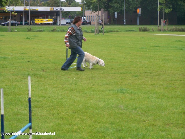 parkmanif zatRoel (25) Parkmanifestatie zaterdag