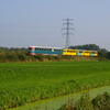 T00106 41 186 Klarenbeek - 20061015 NVBS 75