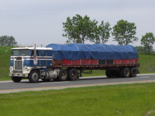 CIMG6347 Trucks