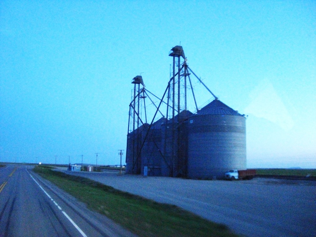 CIMG6488 Trips