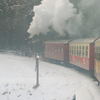 T00939 997240 Sorge - 20071110 Harz