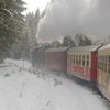 T00940 997240 Sorge - 20071110 Harz