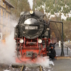 T00947 997240 Eisfelder Tal... - 20071110 Harz