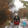 T00952 997240 Eisfelder Tal... - 20071110 Harz