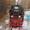 T00953 997240 Eisfelder Tal... - 20071110 Harz