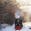 T01133 997232 Eisfelder Tal... - 20071225 Harz