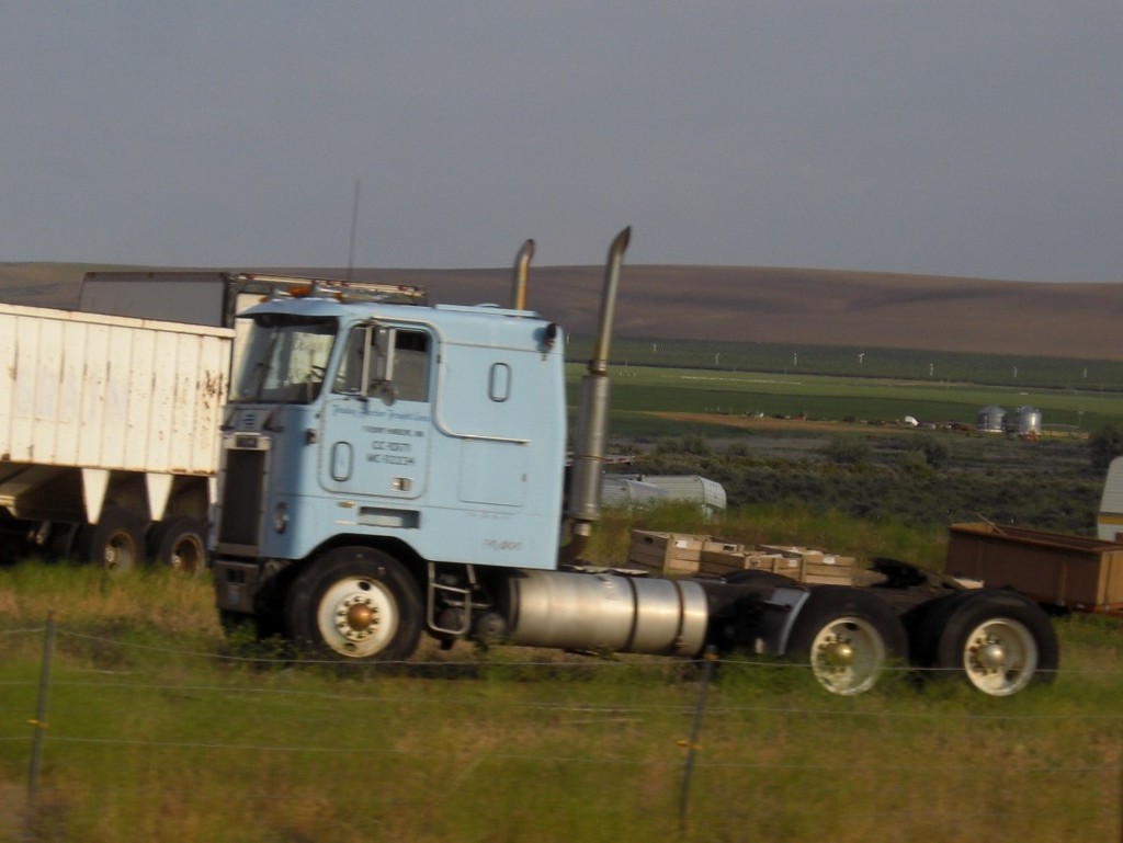 CIMG6947 - Trucks