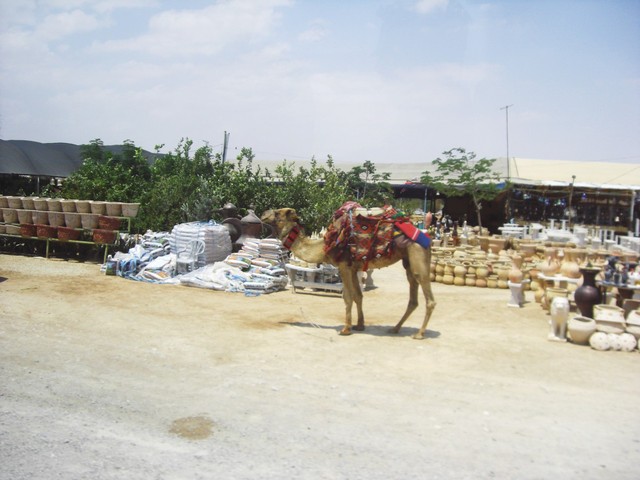 CIMG5864 JERUSALEM 2009