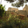CIMG5986 - JERUSALEM 2009