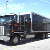 CIMG7246 - Trucks