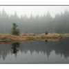Foggy lake - Nature Images