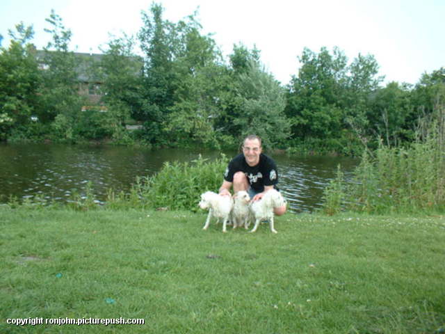Honden te water 01-06-03 09 Various Outdoors from 2002 to present