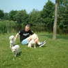 Honden te water 01-06-03 23 - Various Outdoors from 2002 ...