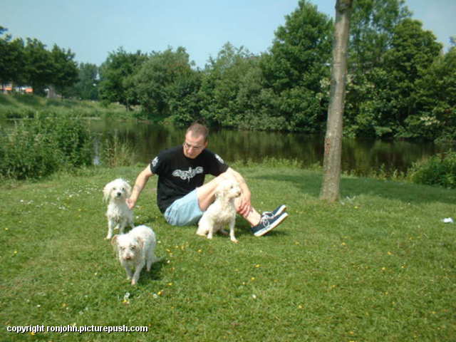 Honden te water 01-06-03 23 Various Outdoors from 2002 to present