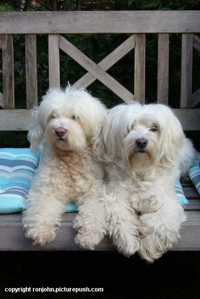 Met Petra en Jelle en Lotte 16-09-06 19 In de tuin 2005