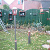 Bomen snoeien 06-11-02 09 - In de tuin 2001