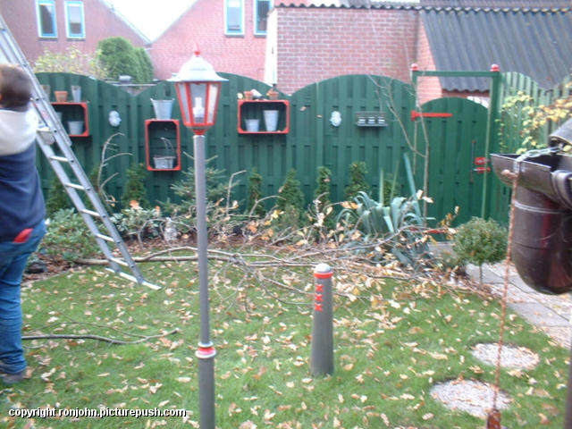 Bomen snoeien 06-11-02 09 In de tuin 2001