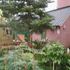 Tuin klaar 24-08-02 14 - In de tuin 2001