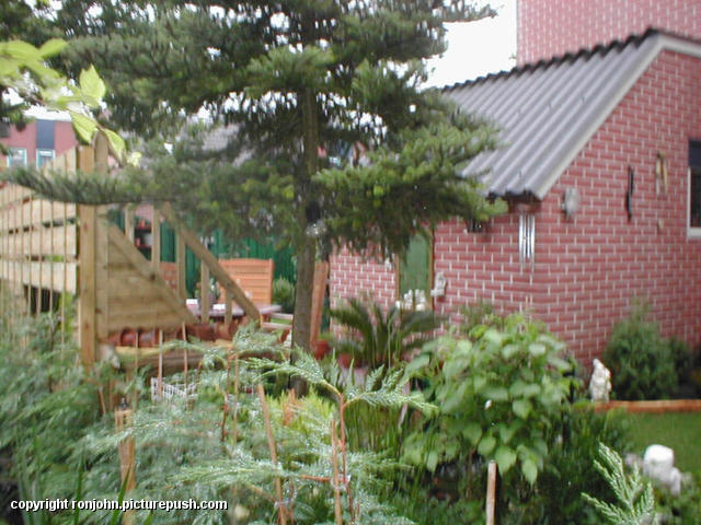 Tuin klaar 24-08-02 14 In de tuin 2001