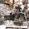Tuin 01-02-03 04 - In de tuin 2004