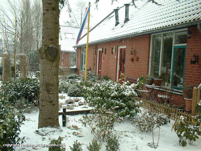 Tuin 01-02-03 18 In de tuin 2004