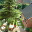 Tuin 01-06-03 18 - In de tuin 2004