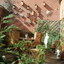 Tuin 25-09-03 01 - In de tuin 2004
