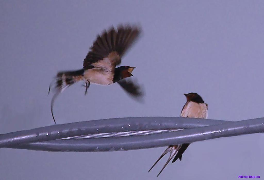 quello Ã¨ il posto mio - 