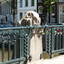 P1100321 - moderne architectuur