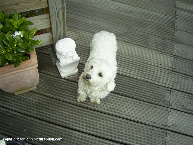 Cindy 23-06-09 2 In de tuin 2010