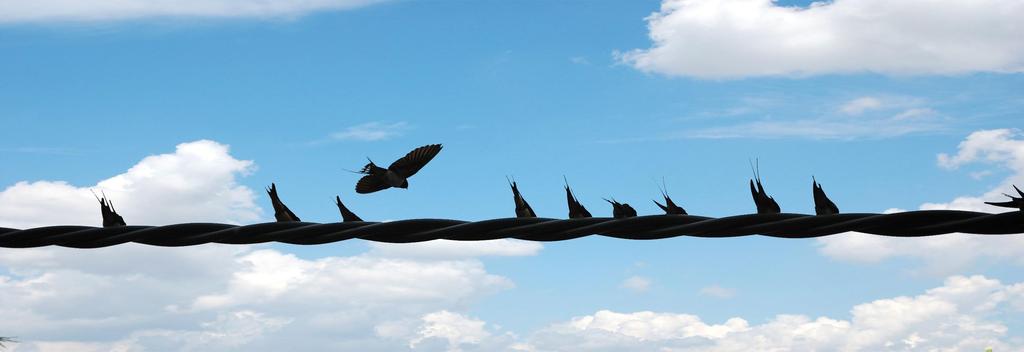 DSC 0181 copia modificato-1 - 