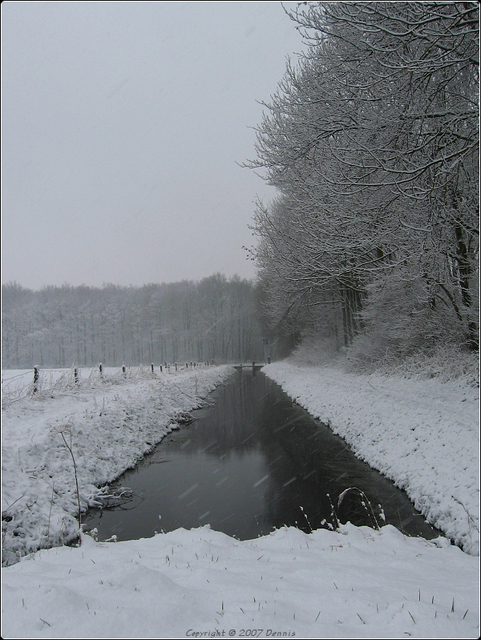 Sneeuw2 Nature calls