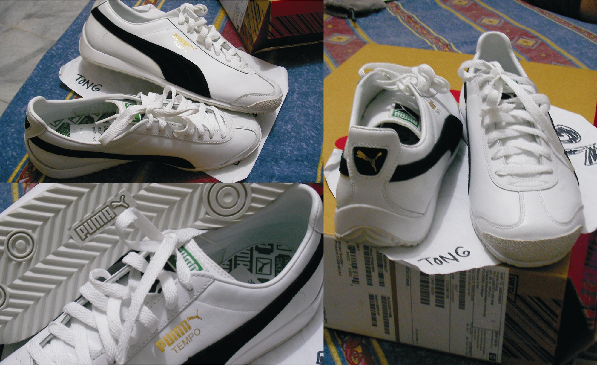 PUMA TEMPO 8.jpg Picture