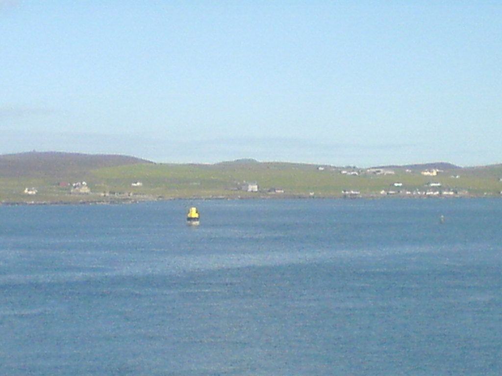 DSC00650 Simmer Dim