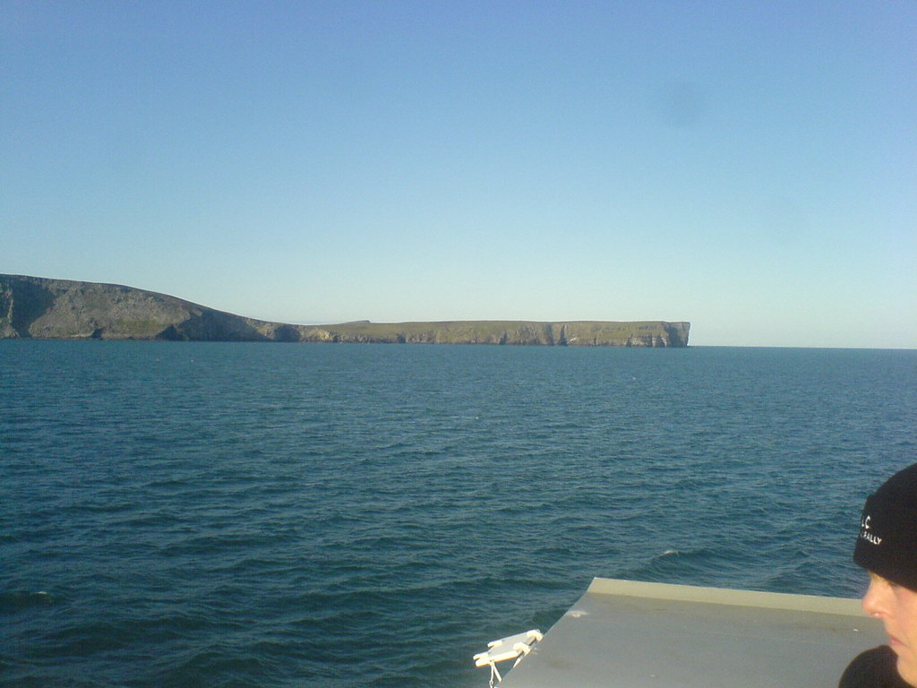 DSC00668 Simmer Dim